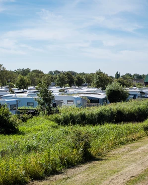 Schleswig-Holstein glänzt mit sechs ADAC „Superplätzen“ und führender Campingqualität - Camping-Schleswig-Holstein