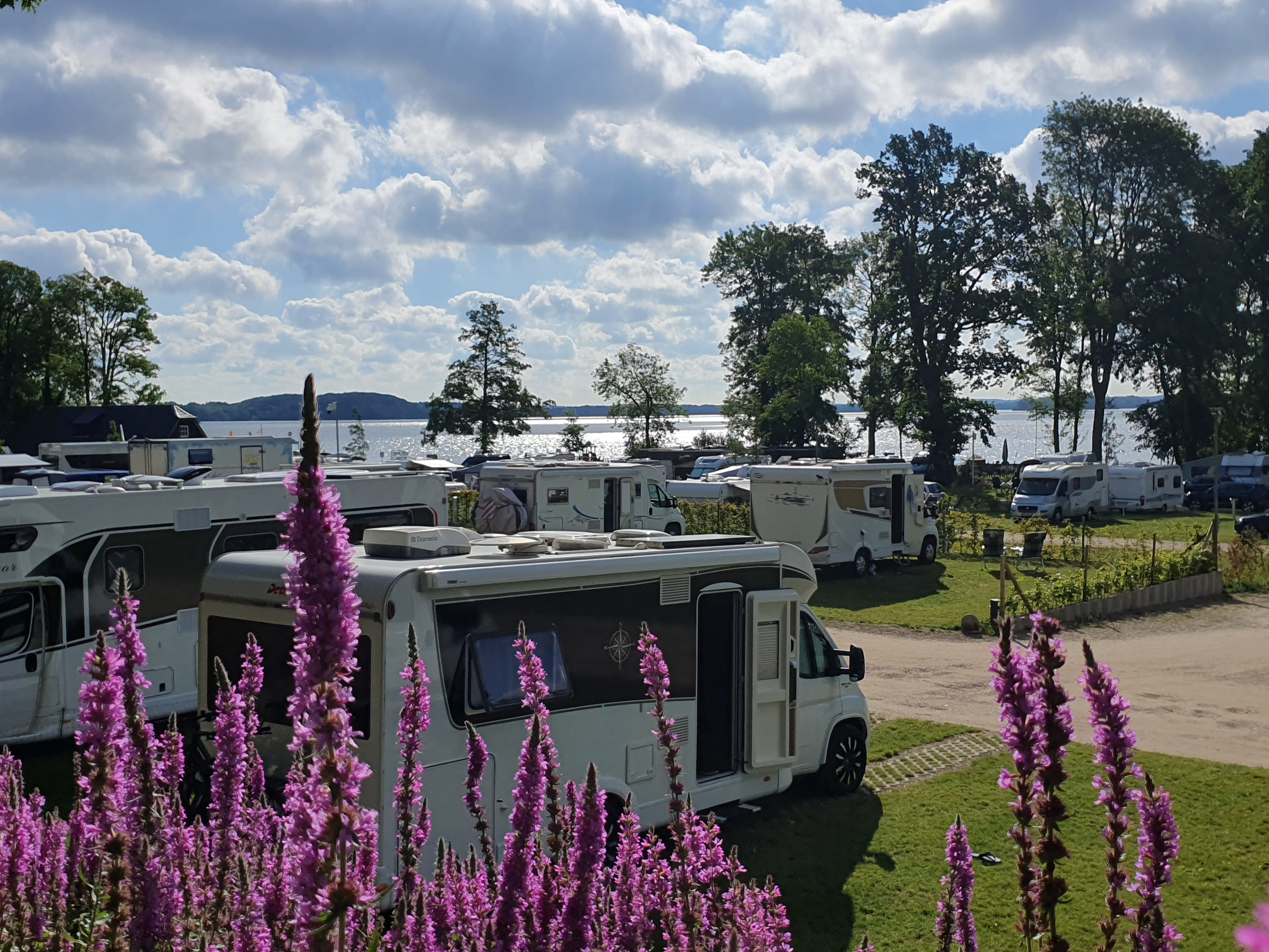 Campingplatz - Campingplatz Lange Wisch