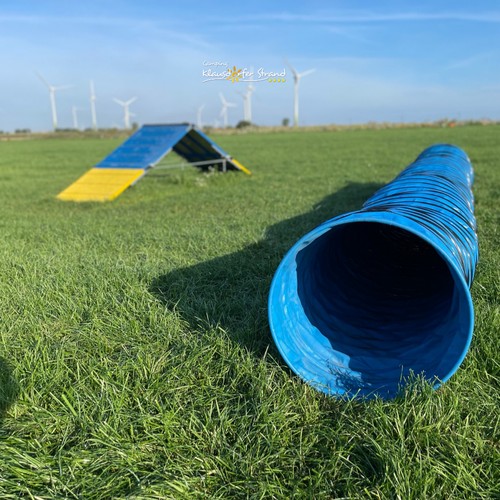 Campingplatz: Unser eingezäunter Agility-Platz für Hunde!
Auch unsere vierbeinigen Freunde sollen sich bei uns pudelwohl fühlen. - Camping Klausdorfer Strand