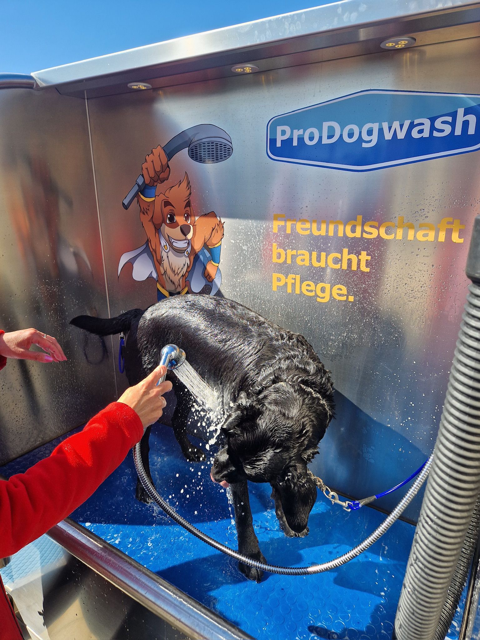 Campingplatz: Nach einem Tag voller Strandabenteuer gönnen sich Vierbeiner gerne eine erfrischende Dusche. Die Hundewaschstation (u.a. mit Zeckenschutz) macht Hundeurlaub besonders komfortabel. - Camping Klausdorfer Strand