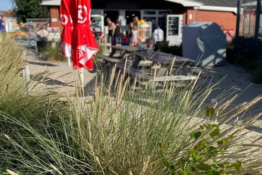 Campingplatz: Unser SB-Markt hat alles was das Camperherz begehrt oder was die Vorfreude vergessen hat. - Camping Klausdorfer Strand