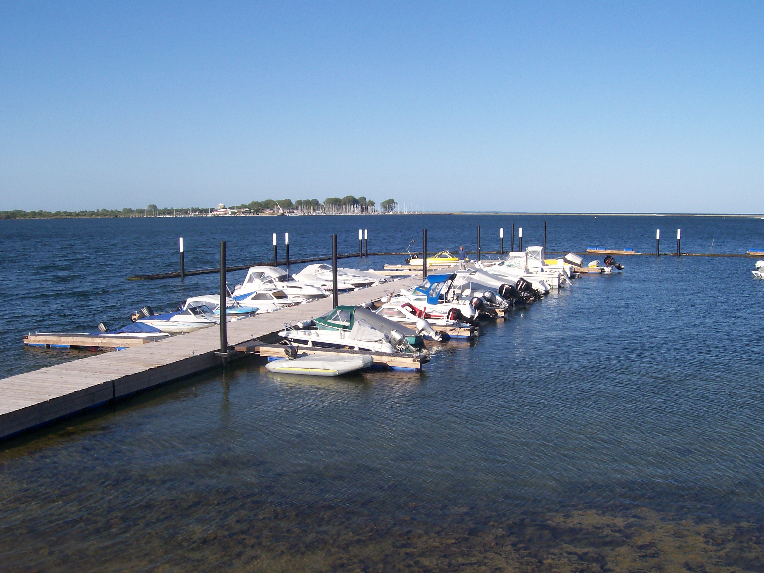 Campingplatz: Hier eine Ansicht unserer linken... - Ostsee Camping Seekamp