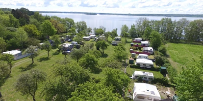 Campingplätze - Wassersport: Angelberechtigungsschein - Naturcamping Seekamp