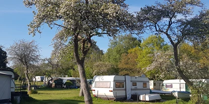Campingplätze - Wassersport: Angelberechtigungsschein - Naturcamping Seekamp
