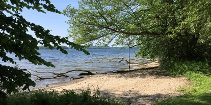Campingplätze - Wassersport: Angelberechtigungsschein - Naturcamping Seekamp