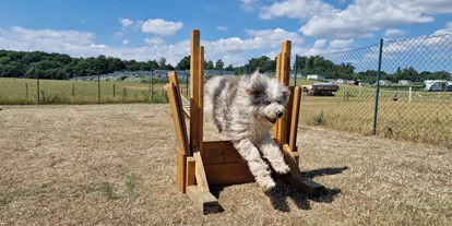 Campingplätze - Gasflaschen-Tausch - Deutschland - Hundeagilityplatz - Camping & Ostseeferienpark Walkyrien