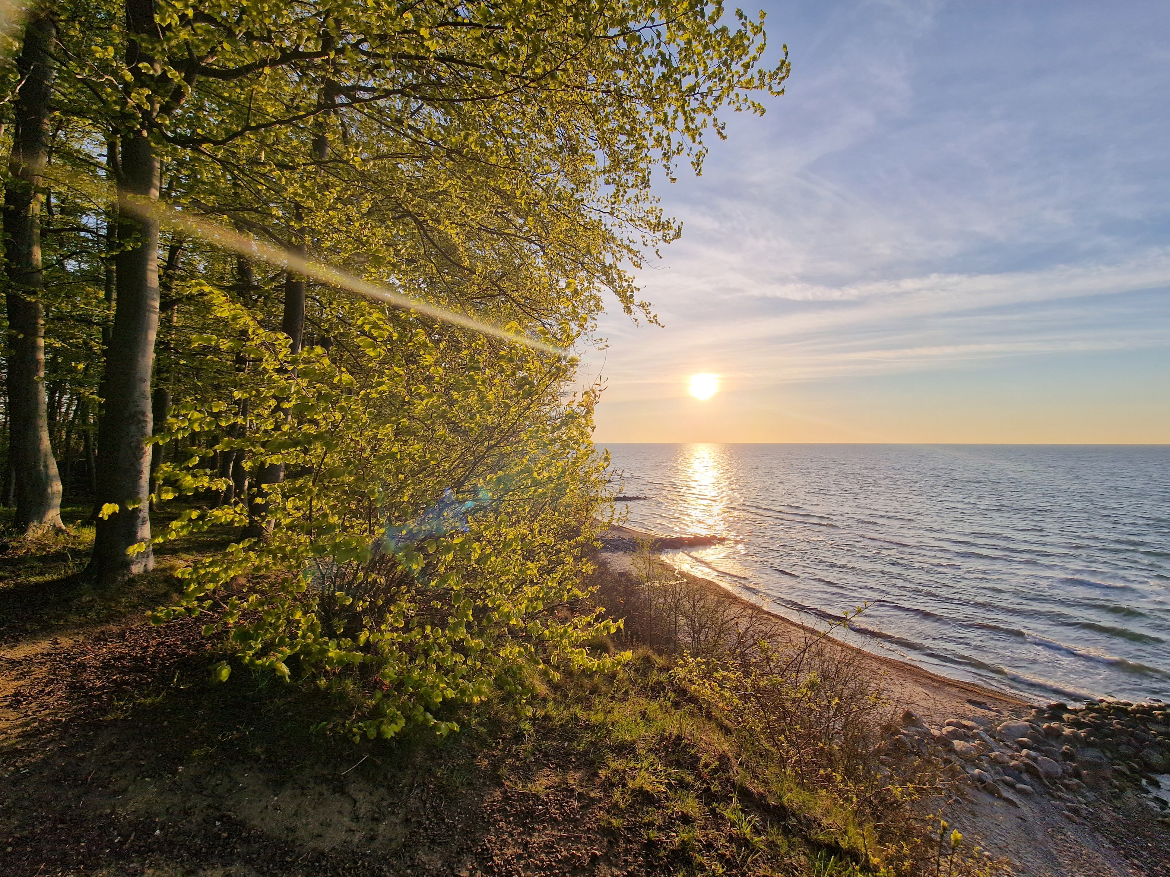 Campingplatz: Waldbaden im angrenzenden Ruheforst - Camping & Ostseeferienpark Walkyrien