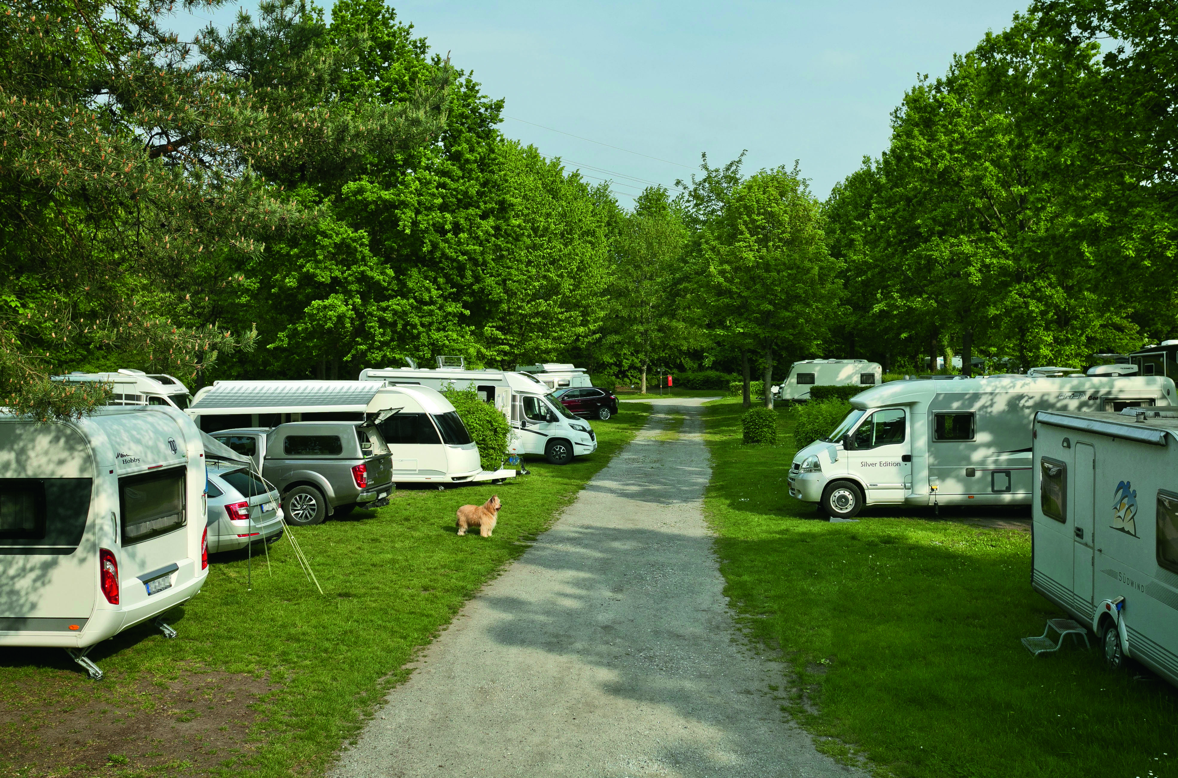Campingplätze - Wintercamping - Deutschland - Stellplätze KNAUS Campingpark Hamburg**** - KNAUS Campingpark Hamburg****