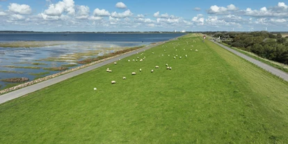Campingplätze - Gasflaschen-Tausch - Deutschland - Deich mit Blick nach Husum - Nordseecamping zum Seehund Nordseecamping