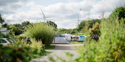 Campingplätze - Gasflaschen-Tausch - Deutschland - Stellplätze - Nordseecamping zum Seehund Nordseecamping