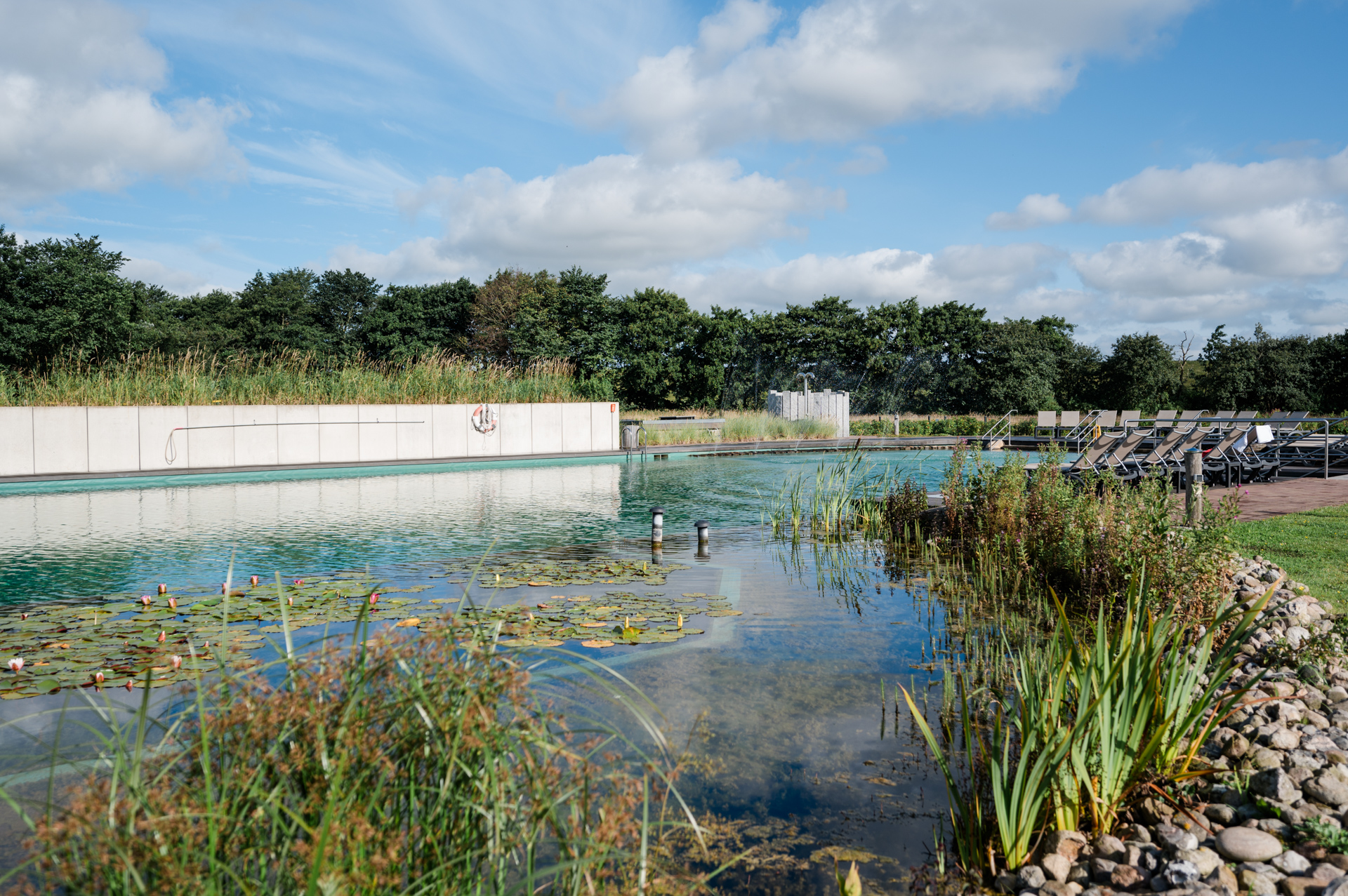 Campingplatz: Naturschwimmteich - Nordseecamping zum Seehund Nordseecamping