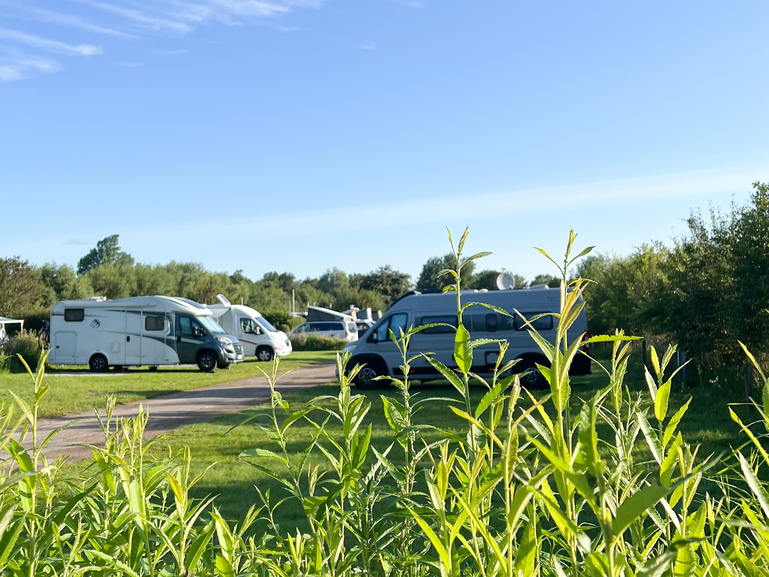 Campingplätze - Zahlungsmöglichkeiten: EC-Karte - Deutschland - Stellplatz - Ostseecamp Glücksburg Holnis
