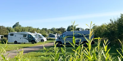 Campingplätze - Stellplätze autofrei - Stellplatz - Ostseecamp Glücksburg Holnis