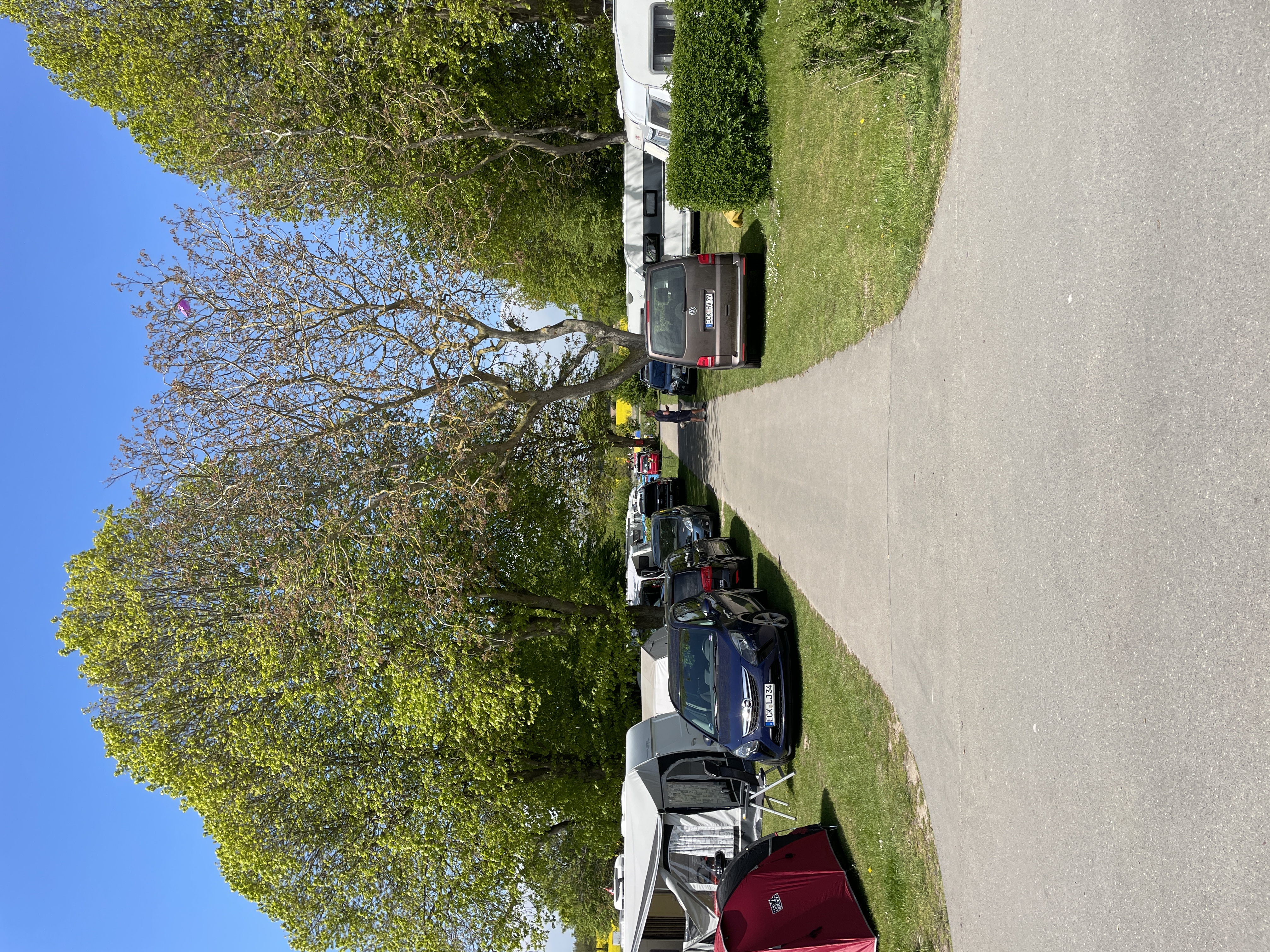 Campingplatz: Stellplätze im D Bereich, besonders bei Familien mit Kindern beliebt. - Ostseecamping Heide