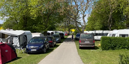 Campingplätze - Wassersport: Angelberechtigungsschein - Stellplätze im D Bereich, besonders bei Familien mit Kindern beliebt. - Ostseecamping Heide