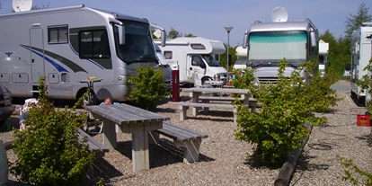 Campingplätze - Wassersport: Angelberechtigungsschein - Picknick Garnituren  - Reisemobilhafen St. Peter-Ording