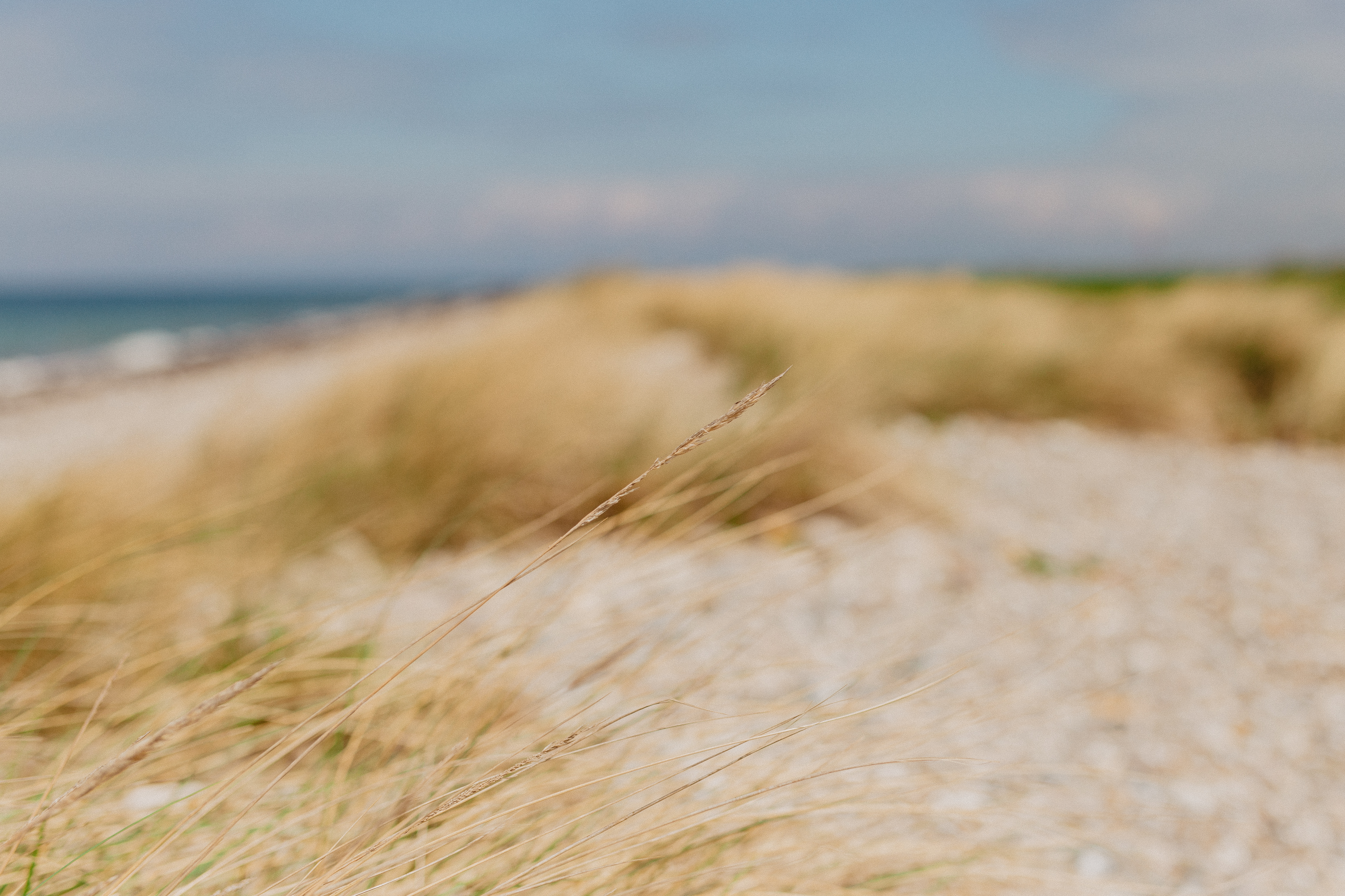 Campingplatz: Naturstrand - Strandcamping Wallnau