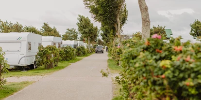 Campingplätze - Gasflaschen-Tausch - Deutschland - Befestigte Wege - Strandcamping Wallnau