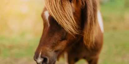 Campingplätze - Gasflaschen-Tausch - Deutschland - Pony - Strandcamping Wallnau