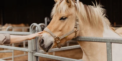 Campingplätze - Gasflaschen-Tausch - Deutschland - Pony streicheln - Strandcamping Wallnau