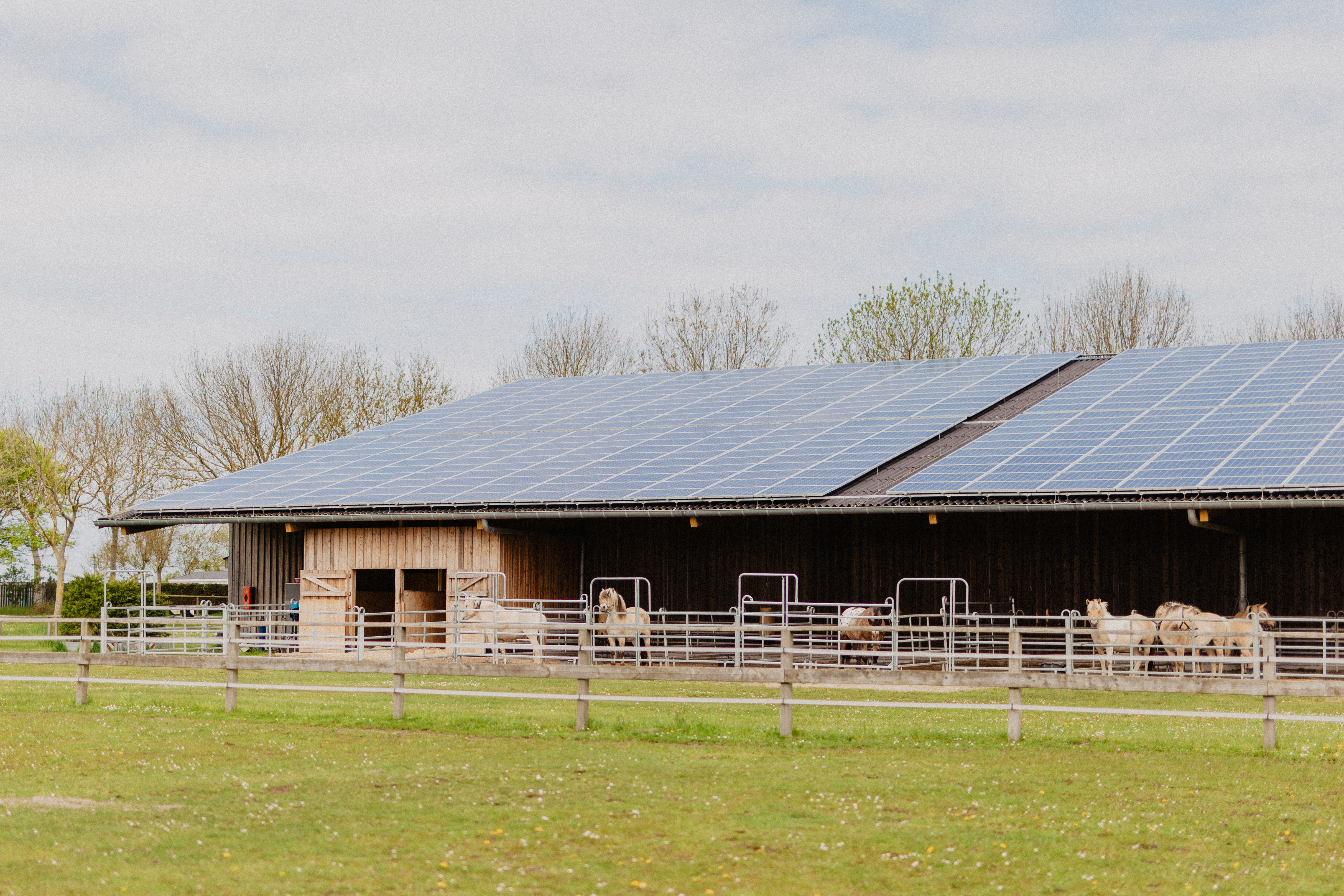 Campingplatz: Reithalle - Strandcamping Wallnau